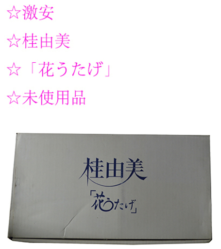 ☆激安 桂由美 花うたげ 未使用品 食器 洋皿 和皿