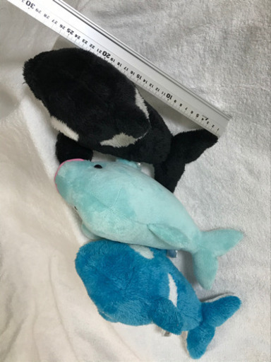イルカとシャチのぬいぐるみ3体まとめて のすけ 二子玉川のおもちゃ ぬいぐるみ の中古あげます 譲ります ジモティーで不用品の処分