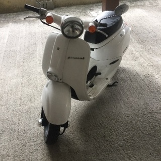 売り切り値下げ 原付 ジョルカブ  50cc 中古 自賠責付き