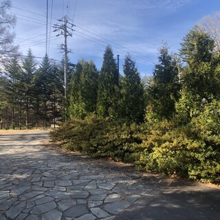 軽井沢追分10.5坪　道路沿いなので看板用地にオススメ − 長野県