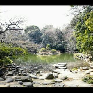 三四郎池から上野公園に変更しました😃💦で鬼ごっこ👹の画像