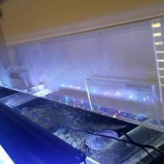 1800×250×250水槽 リフジウム水槽 新品未使用