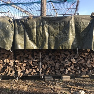 薪ストーブキャンプ広葉樹 薪割済の100％ニセアカシア薪 1棚 すぐに