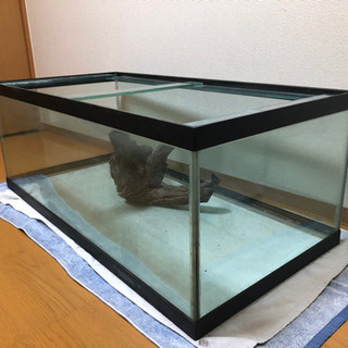 値下げ120×60×45 2段水槽フルセット 引き取り限定