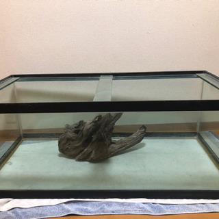 値下げ 120×45×60ガラス水槽 流木 ガラス蓋セット