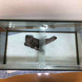 値下げ 120×45×60ガラス水槽 流木 ガラス蓋セット