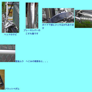 クラシック ロードバイク カンパ サンマルコロールス 【公式通販】
