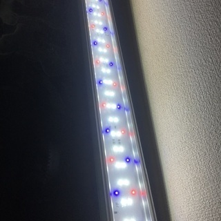 本日募集終了します。1200大型アクリル曲面加工水槽フルセット