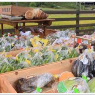 🍅半額🍠臼杵🥕野菜マーケット🥔ひゃくすた商品券🌽