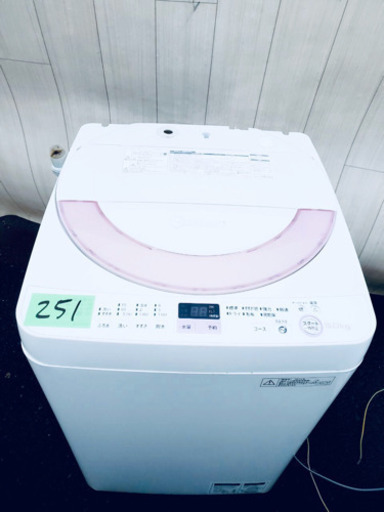 251番 SHARP✨全自動電気洗濯機 ⚡️ ES-GE60N-P‼️