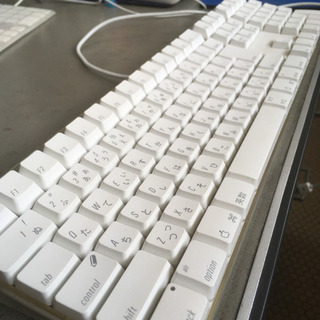 Apple Keyboard A1048 junk