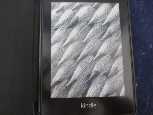 Kindle Paperwhite　第10世代32GB　中古品