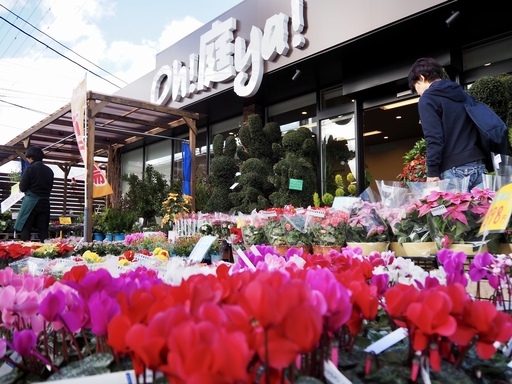 植木屋さん 庭師さん 造園業者さんの協力業者さん 施工パートナーさん募集 松戸市 柏市近郊 株式会社oh庭ya 北小金の剪定 造園の無料広告 無料掲載の掲示板 ジモティー