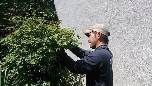 植木屋さん 庭師さん 造園業者さんの協力業者さん 施工パートナーさん募集 大阪府茨木市 吹田市 箕面市 豊中市 高槻市及びその近郊 株式会社oh庭ya 豊川の剪定 造園の無料広告 無料掲載の掲示板 ジモティー