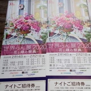 世界らん展2020-花と緑の祭典‐ナイトチケット
