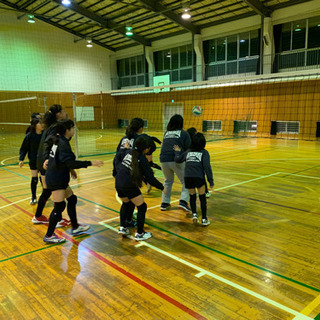 小学生女子バレーボール部員大募集