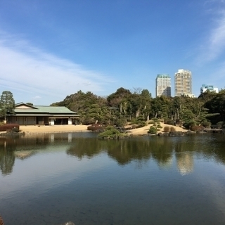 宗瑠茶会 【 初花月を愉しむ 】 令和2年2月15日開催 14時...