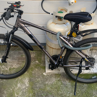 パロマアロイー　Mサイズ　ガンメタル