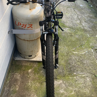 パロマアロイー　Mサイズ　ガンメタル