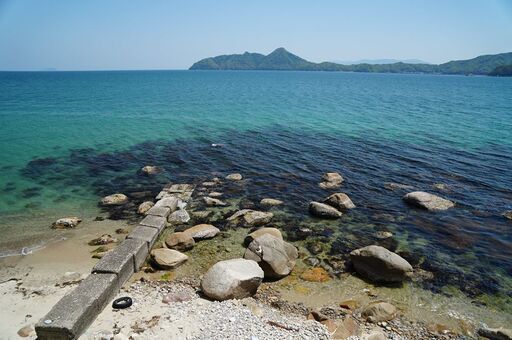 なな お掃除ロボット対応 ダイニングチェア 1脚 2脚セット 4脚セット