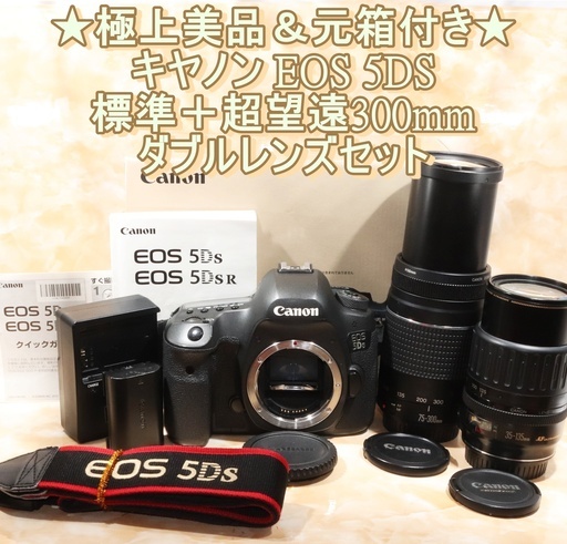 ★極上美品＆元箱付き★キヤノン Canon EOS 5DS 超望遠300mm ダブルズームセット
