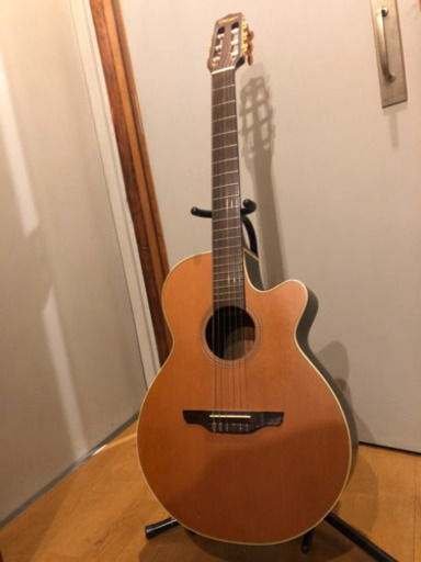 Takamine NPT-110N タカミネ エレガット セミハードケース付