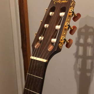 Takamine NPT-110N タカミネ エレガット セミハードケース付 2