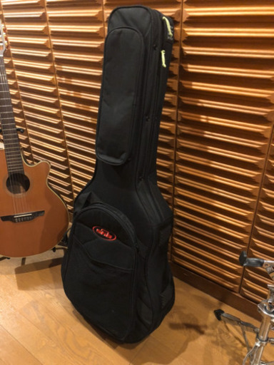 Takamine NPT-110N タカミネ エレガット セミハードケース付