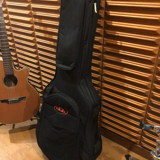 Takamine NPT-110N タカミネ エレガット セミハードケース付