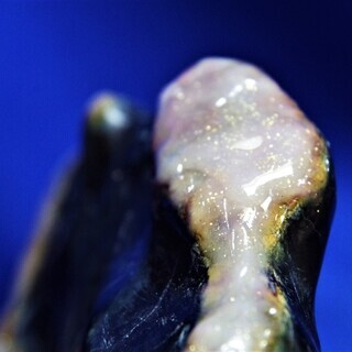 蛍光蛇石　ブラックライトで発光　財運オブジェ　　ＵＶランプ対応　蓄光蛍光加工 蛍光蛇石 ブラックライトで発光 財運オブジェ UVランプ対応 白蛇