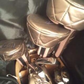 ゴルフクラブセット レディース パリス