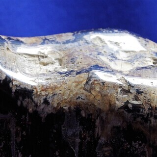 珪化木15㎏ 木化石 高26cm 木台つき 観賞石 水石 匿名配送