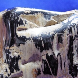 珪化木15㎏　木化石　高26ｃｍ　木台つき　観賞石　水石　 匿名配送 珪化木15㎏ 木化石 高26cm 木台つき 観賞石 水石 匿名配送