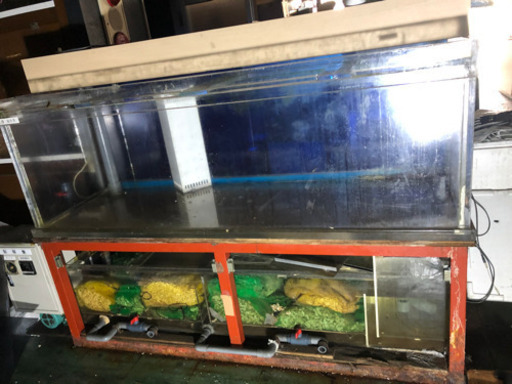 今日 明日引き取り限定 1800 600 600オーバーフロー水槽 濾過槽 ライト ポンプ付き からら 燕三条のその他の中古あげます 譲ります ジモティーで不用品の処分 今日 明日引き取り限定 1800 600 600オーバーフロー水槽 濾過槽 ライト ポンプ付き からら 燕三条のその他の中古あげます 譲ります ジモティーで不用品の処分