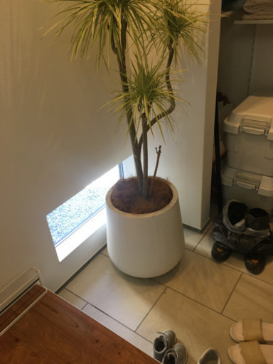 植木鉢　カバー