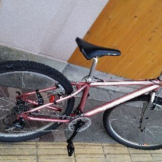 world cycle