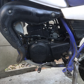 DT50 YAMAHA 最終型 書類あり GT50ヘッドライト DT50 YAMAHA 最終型 書類あり GT50ヘッドライト 【公式通販】