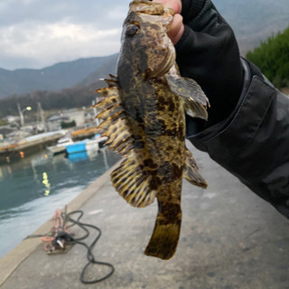 釣り仲間募集