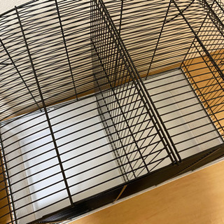 取引先決定 鳥かご 二個