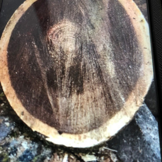 ケアキ直径30センチ以上から45センチ丸太