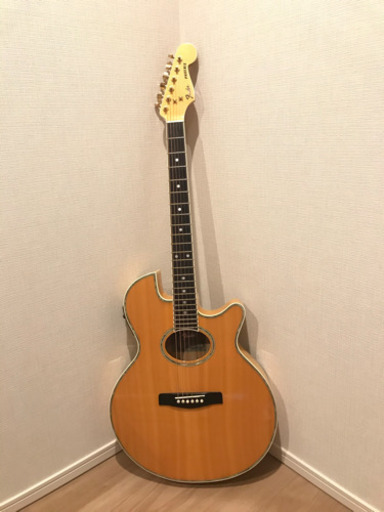 FENDER ハイエンドアコースティックギター　PW-1