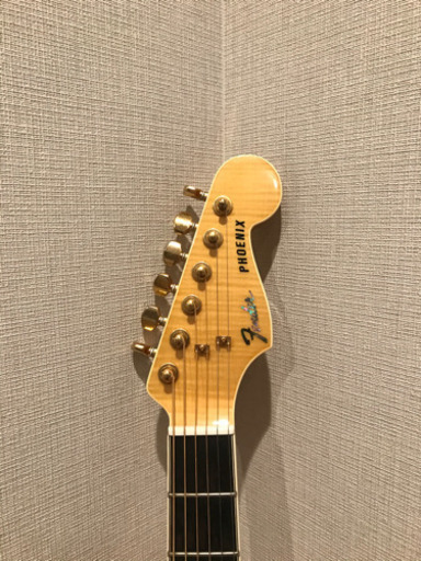 FENDER ハイエンドアコースティックギター PW-1 節約