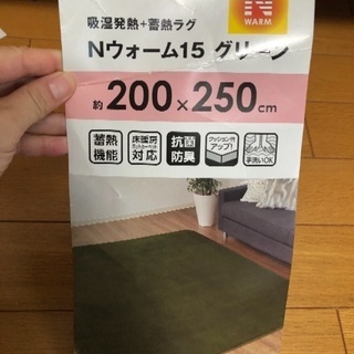 取引中☆ニトリ Nウォーム15 グリーン 200×250 厚手の...