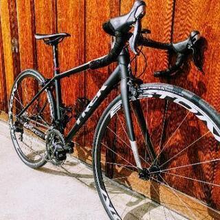 2018TREK Domane AL ドマーネＡＬ サイズ50 2018TREK Domane AL ドマーネAL サイズ50