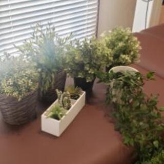 IKEA観葉植物(造花)