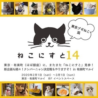 ねこにすと14　東京ブギねこ篇