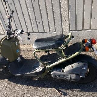 京都市☆HONDA☆ZOOMERカーキ（カモフラージュ） 京都市☆HONDA☆ZOOMERカーキ（カモフラージュ）