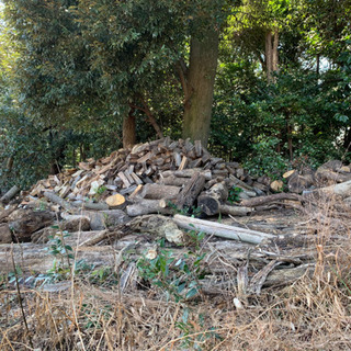 割れ木 木材 暖炉