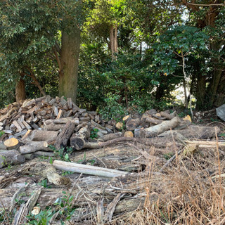 割れ木　木材　暖炉