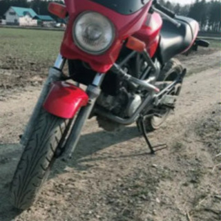 VTR250 MC33